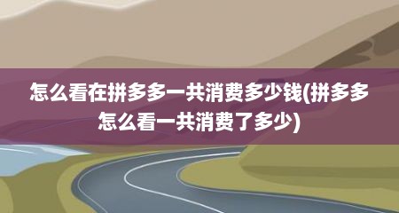 怎么看在拼多多一共消费多少钱(拼多多怎么看一共消费了多少)