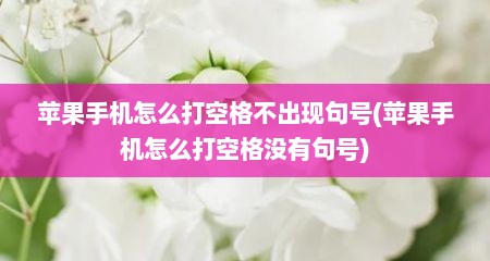 苹果手机怎么打空格不出现句号(苹果手机怎么打空格没有句号)
