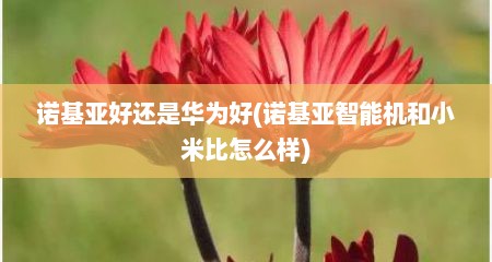 诺基亚好还是华为好(诺基亚智能机和小米比怎么样)