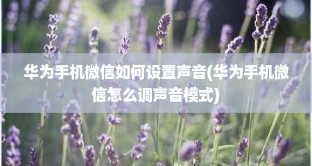 华为手机微信如何设置声音(华为手机微信怎么调声音模式)