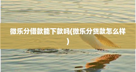 微乐分借款能下款吗(微乐分贷款怎么样)