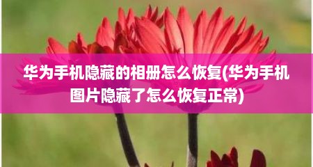 华为手机隐藏的相册怎么恢复(华为手机图片隐藏了怎么恢复正常)