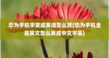 华为手机字变成英语怎么改(华为手机全是英文怎么弄成中文字幕)