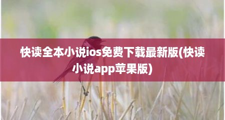 快读全本小说ios免费下载最新版(快读小说app苹果版)