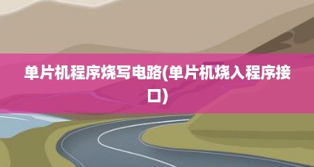 单片机程序烧写电路(单片机烧入程序接口)
