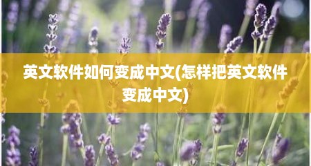 英文软件如何变成中文(怎样把英文软件变成中文)