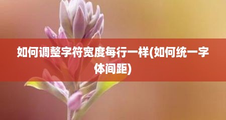如何调整字符宽度每行一样(如何统一字体间距)