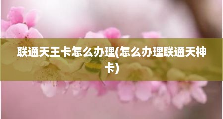 联通天王卡怎么办理(怎么办理联通天神卡)