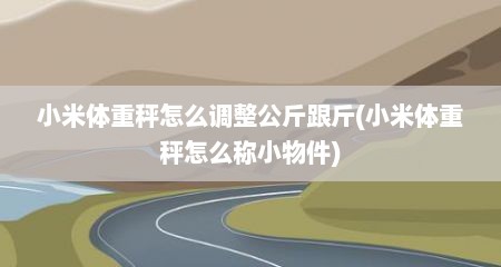 小米体重秤怎么调整公斤跟斤(小米体重秤怎么称小物件)