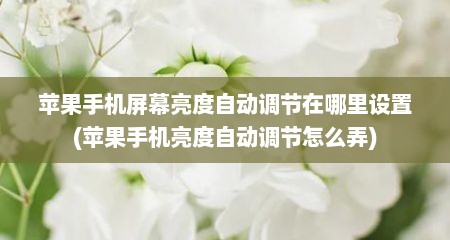 苹果手机屏幕亮度自动调节在哪里设置(苹果手机亮度自动调节怎么弄)