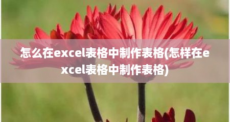 怎么在excel表格中制作表格(怎样在excel表格中制作表格)