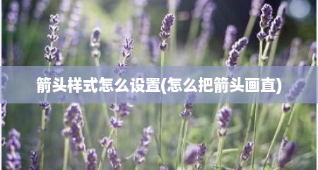 箭头样式怎么设置(怎么把箭头画直)