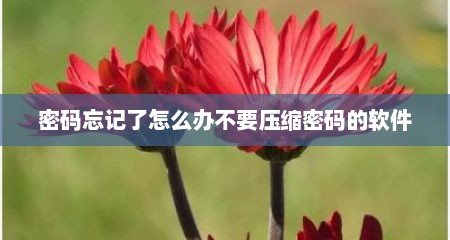 密码忘记了怎么办不要压缩密码的软件