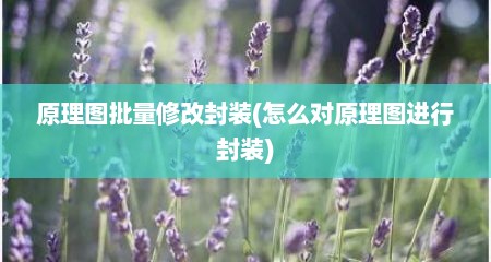 原理图批量修改封装(怎么对原理图进行封装)