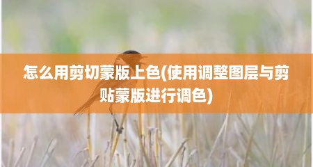 怎么用剪切蒙版上色(使用调整图层与剪贴蒙版进行调色)