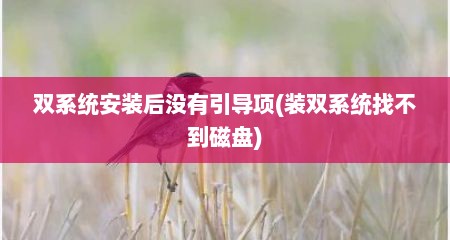 双系统安装后没有引导项(装双系统找不到磁盘)