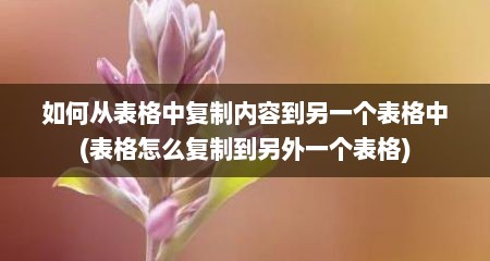 如何从表格中复制内容到另一个表格中(表格怎么复制到另外一个表格)