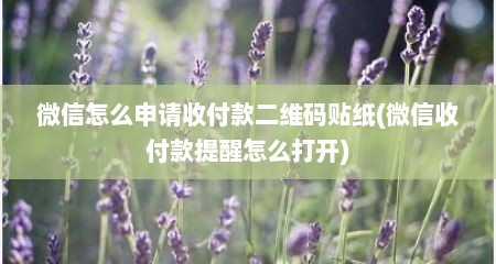 微信怎么申请收付款二维码贴纸(微信收付款提醒怎么打开)