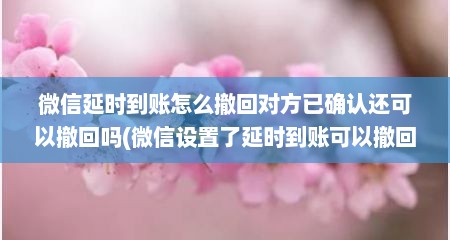 微信延时到账怎么撤回对方已确认还可以撤回吗(微信设置了延时到账可以撤回吗错钱可以退回吗)