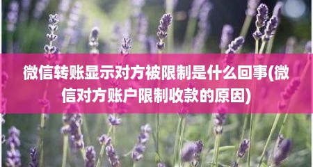 微信转账显示对方被限制是什么回事(微信对方账户限制收款的原因)