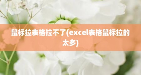 鼠标拉表格拉不了(excel表格鼠标拉的太多)
