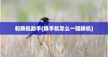 和换机助手(换手机怎么一键换机)