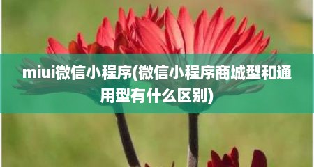 miui微信小程序(微信小程序商城型和通用型有什么区别)