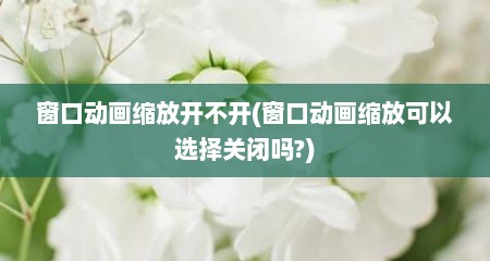 窗口动画缩放开不开(窗口动画缩放可以选择关闭吗?)
