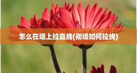 怎么在墙上拉直线(彻墙如何拉线)