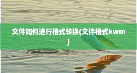 文件如何进行格式转换(文件格式kwm)