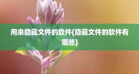 用来隐藏文件的软件(隐藏文件的软件有哪些)