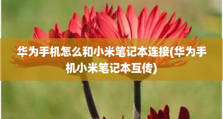 华为手机怎么和小米笔记本连接(华为手机小米笔记本互传)