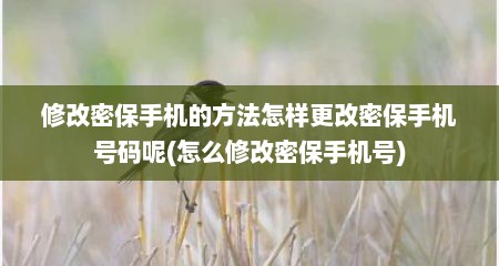 修改密保手机的方法怎样更改密保手机号码呢(怎么修改密保手机号)