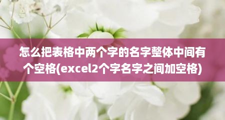 怎么把表格中两个字的名字整体中间有个空格(excel2个字名字之间加空格)