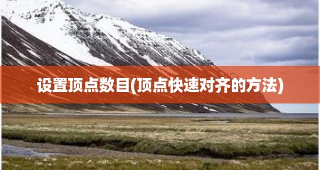 设置顶点数目(顶点快速对齐的方法)