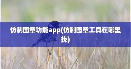 仿制图章功能app(仿制图章工具在哪里找)