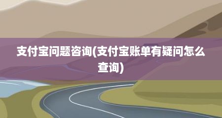 支付宝问题咨询(支付宝账单有疑问怎么查询)