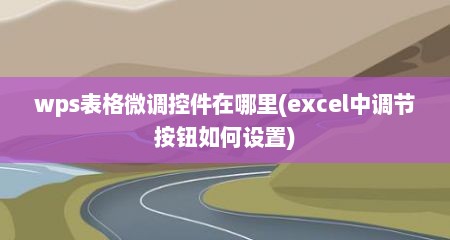 wps表格微调控件在哪里(excel中调节按钮如何设置)
