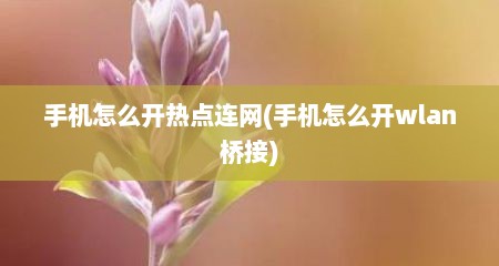 手机怎么开热点连网(手机怎么开wlan桥接)