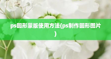 ps圆形蒙版使用方法(ps制作圆形图片)