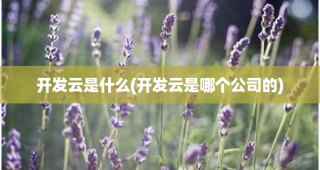开发云是什么(开发云是哪个公司的)