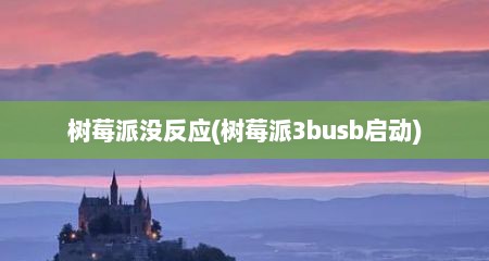树莓派没反应(树莓派3busb启动)