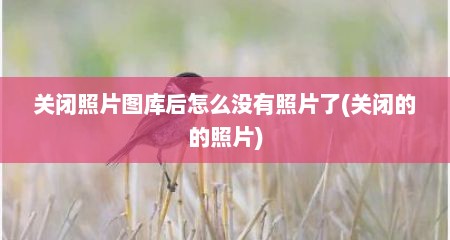 关闭照片图库后怎么没有照片了(关闭的的照片)