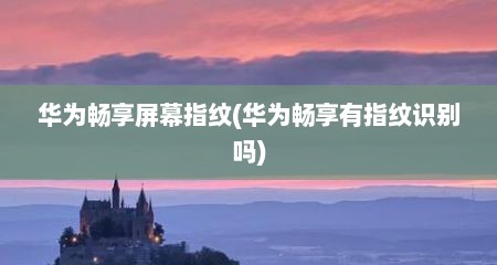 华为畅享屏幕指纹(华为畅享有指纹识别吗)