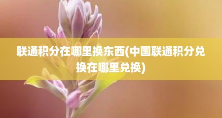 联通积分在哪里换东西(中国联通积分兑换在哪里兑换)
