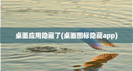桌面应用隐藏了(桌面图标隐藏app)