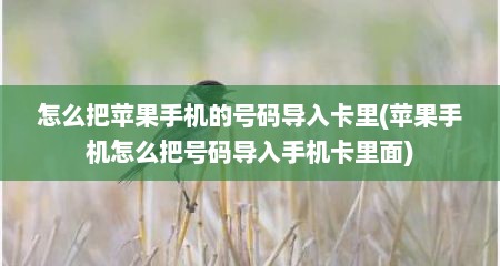 怎么把苹果手机的号码导入卡里(苹果手机怎么把号码导入手机卡里面)