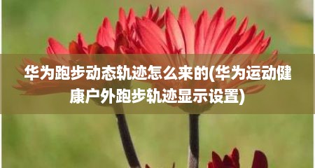 华为跑步动态轨迹怎么来的(华为运动健康户外跑步轨迹显示设置)
