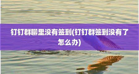 钉钉群聊里没有签到(钉钉群签到没有了怎么办)