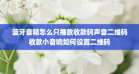 蓝牙音箱怎么只播放收款码声音二维码收款小音响如何设置二维码